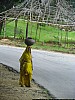 J_06_100_2283_JODHPUR_RANAKPUR_KUMBALGARH.jpg