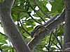 J_07_100_2540_KUMBALGARH_UDAIPUR.jpg