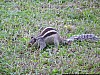 J_07_100_2548_KUMBALGARH_UDAIPUR.jpg