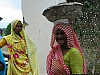 J_08_100_2640_UDAIPUR_JAIPUR.jpg