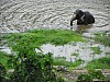 J_10_100_2873_JAIPUR.jpg