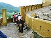 J_10_100_2881_JAIPUR.jpg