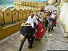 J_10_100_2886_JAIPUR.jpg