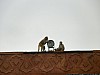 J_12_100_3200_AGRA_DELHI.jpg