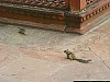 J_12_100_3259_AGRA_DELHI.jpg