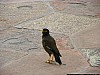 J_12_100_3270_AGRA_DELHI.jpg