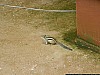 J_13_100_3451_DELHI_FRANCE.jpg