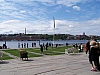 100_1113.JPG