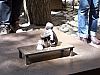 100_1139.JPG
