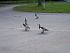100_1198.JPG
