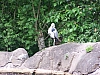100_1210.JPG