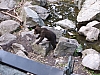 100_1215.JPG