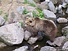 100_1217.JPG