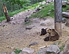 100_1219.JPG
