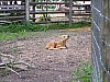 100_1226.JPG