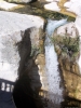 J3_saut_du_loup_100_5768.JPG