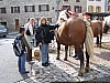 100_8729_Chateauneuf_de_Randon_09_2008.JPG 100_8729_Chateauneuf_de_Randon_09_2008.JPG