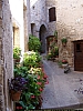 100_8775_St_Guilhem_le_Desert_09_2008.JPG 100_8775_St_Guilhem_le_Desert_09_2008.JPG