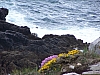 J-1_100_9859_Pointe_Pen-Hir.JPG J-1_100_9859_Pointe_Pen-Hir.JPG