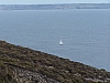 J-1_100_9864_Cap_de_la_Chevre.JPG J-1_100_9864_Cap_de_la_Chevre.JPG
