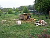 J-2_100_9776_Ch_Hote_Channay_sur_Lathan.JPG J-2_100_9776_Ch_Hote_Channay_sur_Lathan.JPG