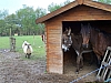 J-2_100_9778_Ch_Hote_Channay_sur_Lathan.JPG J-2_100_9778_Ch_Hote_Channay_sur_Lathan.JPG
