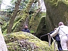 J+2_101_0136_Huelgoat.JPG J+2_101_0136_Huelgoat.JPG