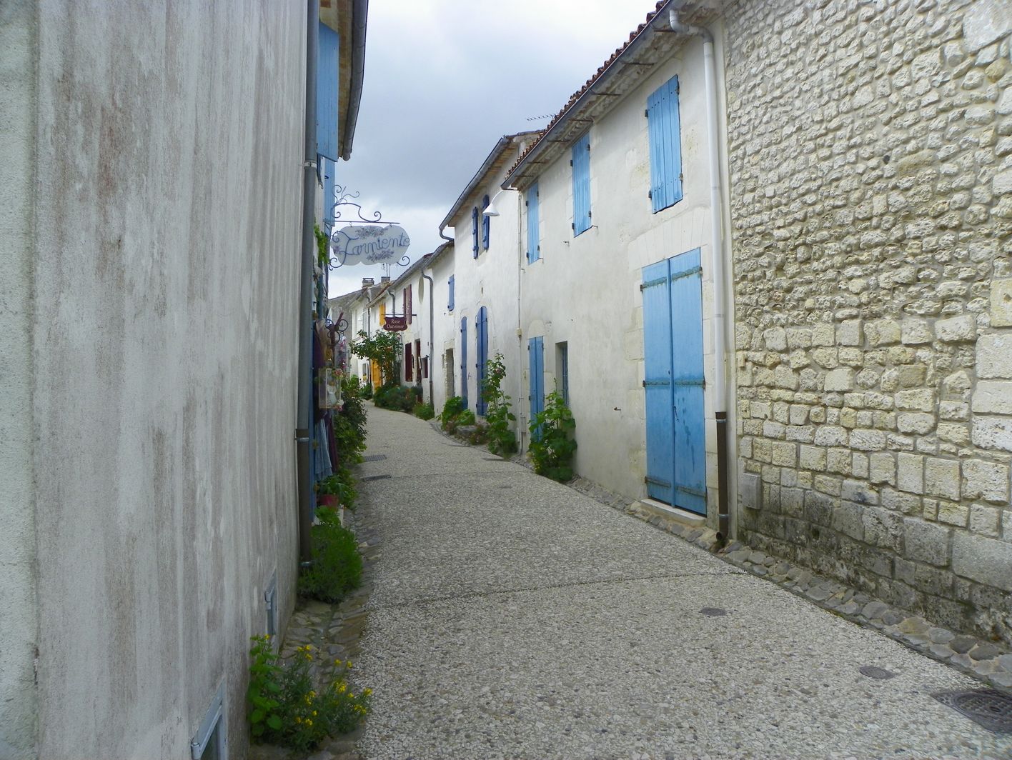 100_7334.JPG